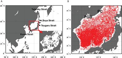 Warm bias of cold sea surface temperatures in the East Sea (Japan Sea)